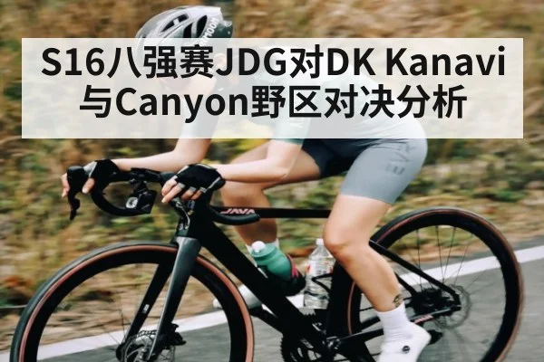 S16八强赛JDG对DK Kanavi与Canyon野区对决分析