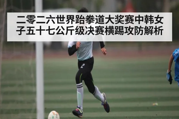 二零二六世界跆拳道大奖赛中韩女子五十七公斤级决赛横踢攻防解析