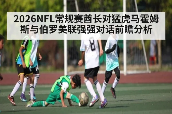 2026NFL常规赛酋长对猛虎马霍姆斯与伯罗美联强强对话前瞻分析